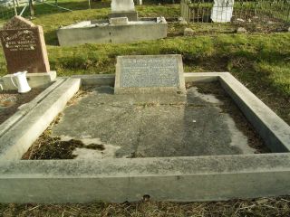 Full-size image