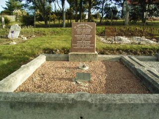 Full-size image