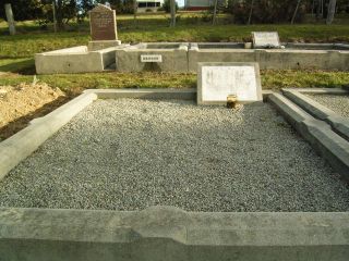 Full-size image
