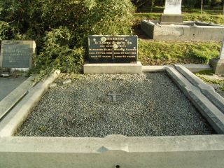 Full-size image