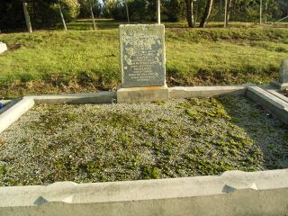 Full-size image