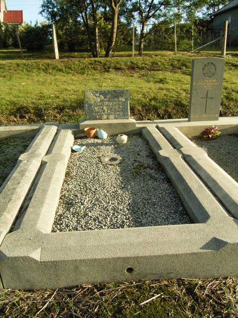Full-size image