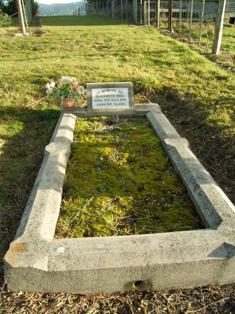 Full-size image