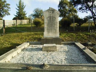 Full-size image