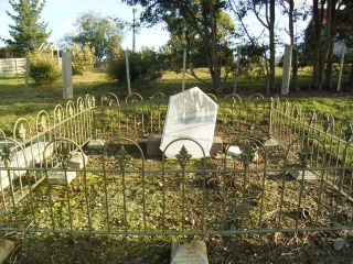 Full-size image