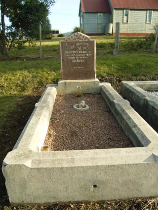 Full-size image
