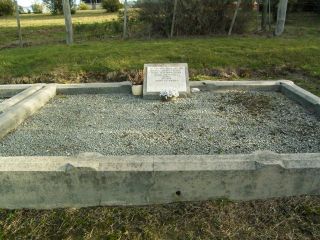 Full-size image