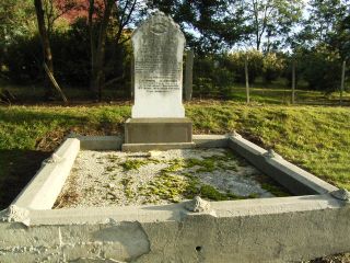 Full-size image