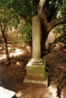 Full-size image