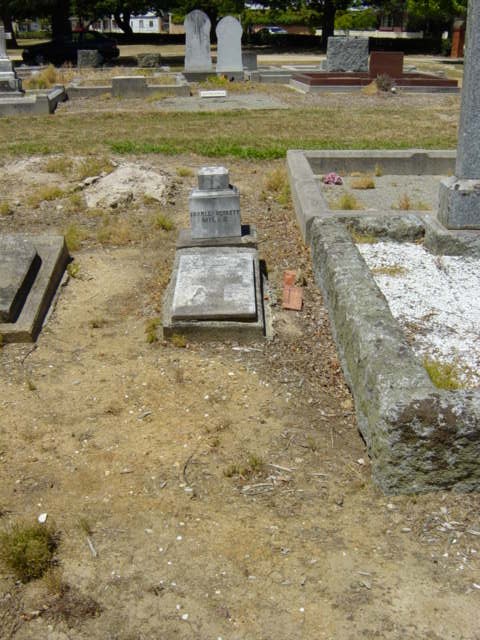 Full-size image