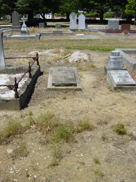 Full-size image