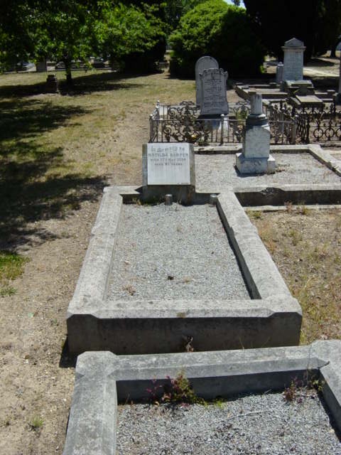 Full-size image