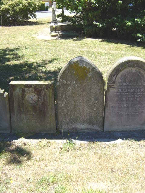 Full-size image