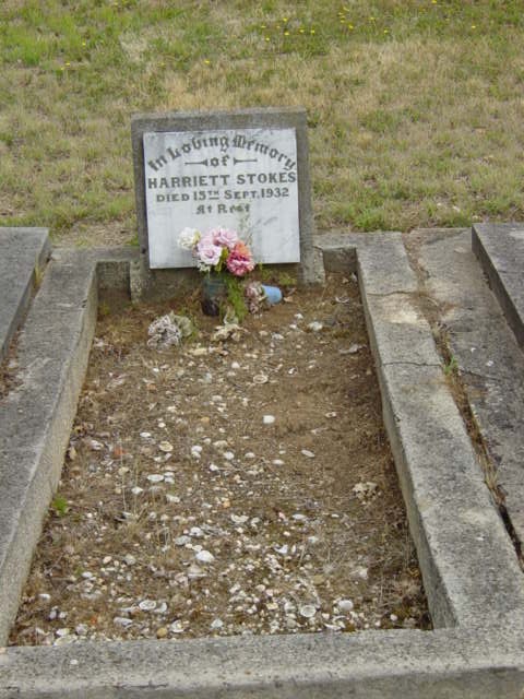 Full-size image