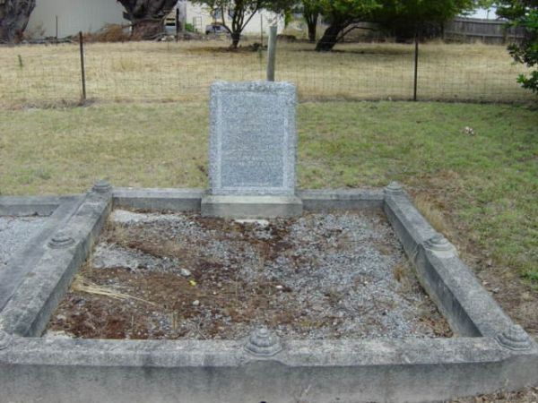Full-size image