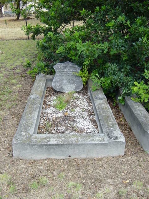 Full-size image