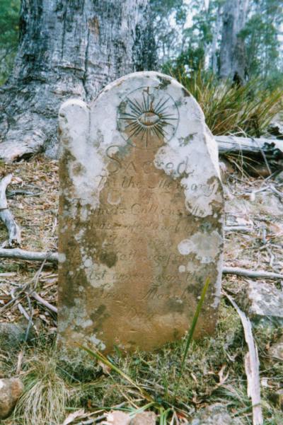 Full-size image