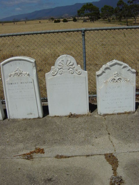 Full-size image