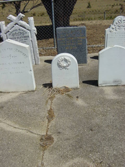 Full-size image