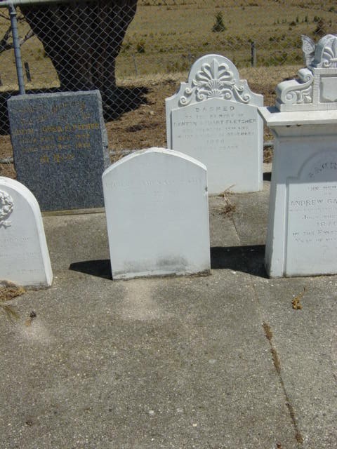 Full-size image