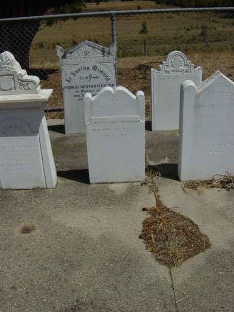 Full-size image