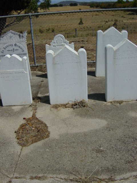 Full-size image