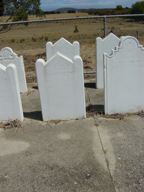 Full-size image