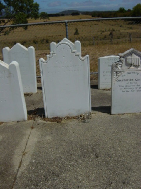 Full-size image