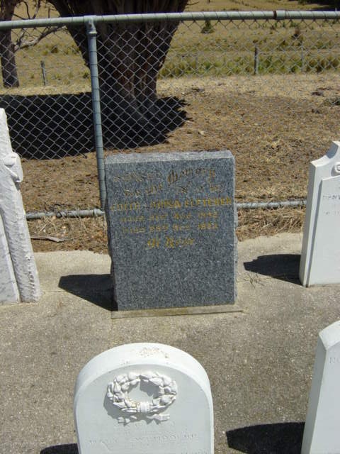Full-size image