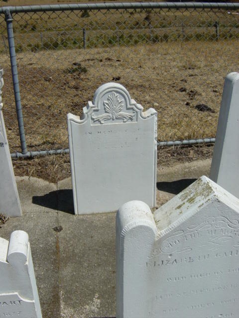 Full-size image
