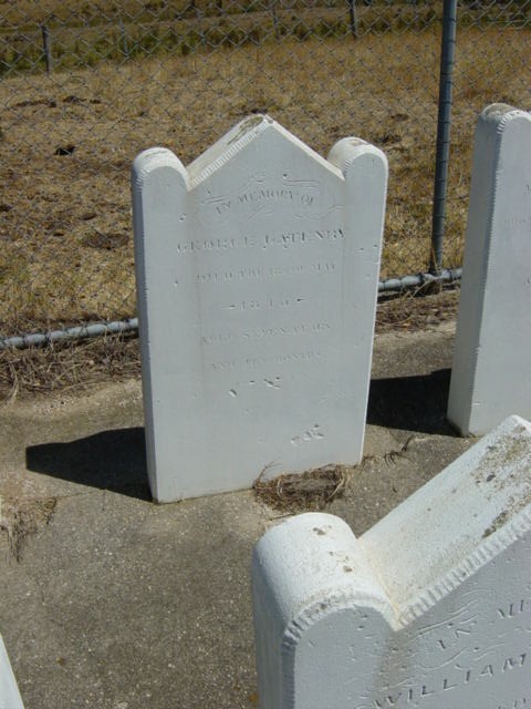 Full-size image