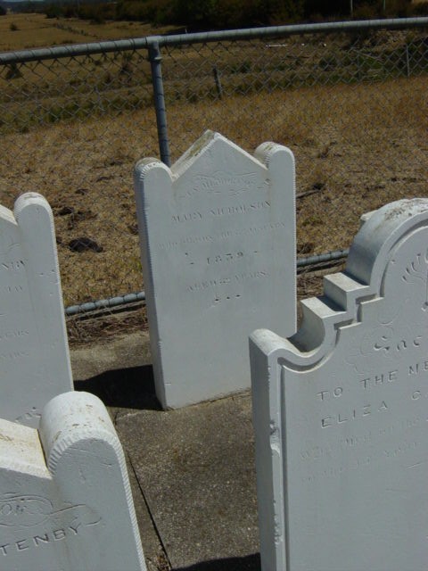 Full-size image