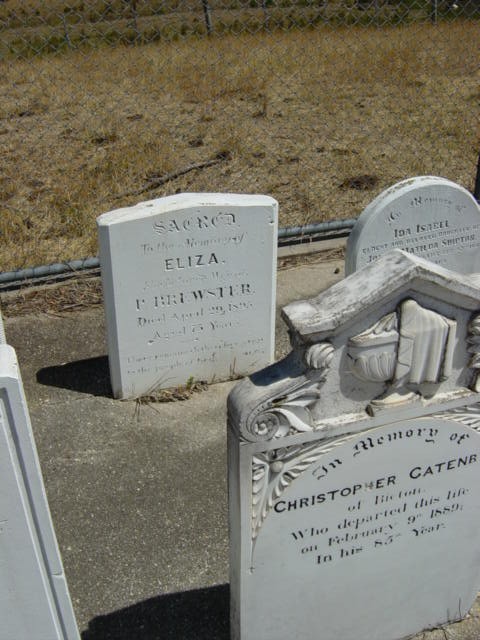 Full-size image