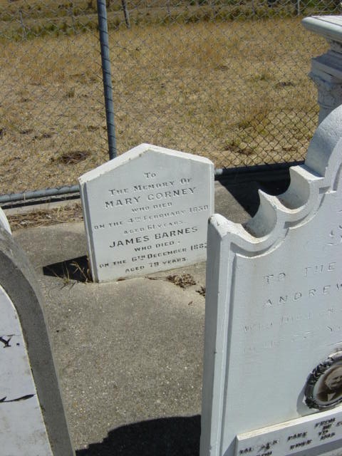 Full-size image