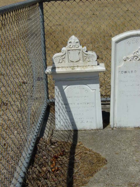 Full-size image