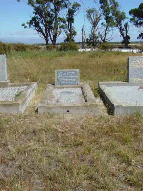 Full-size image