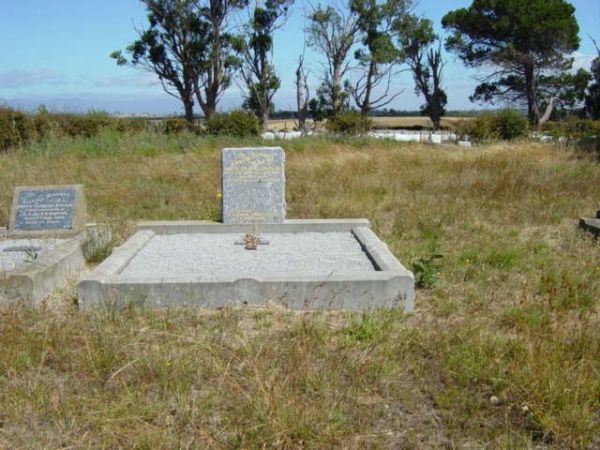 Full-size image