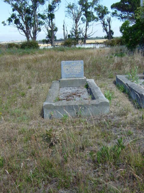 Full-size image