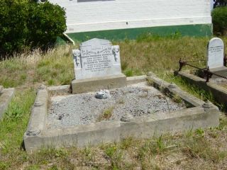 Full-size image