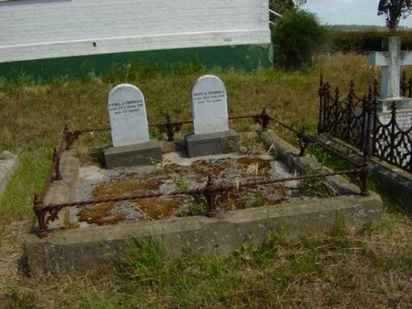 Full-size image