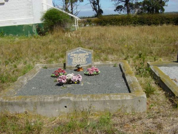 Full-size image