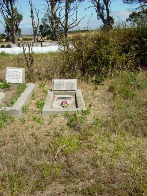 Full-size image