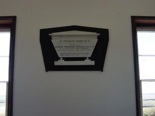 Full-size image