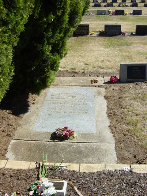 Full-size image