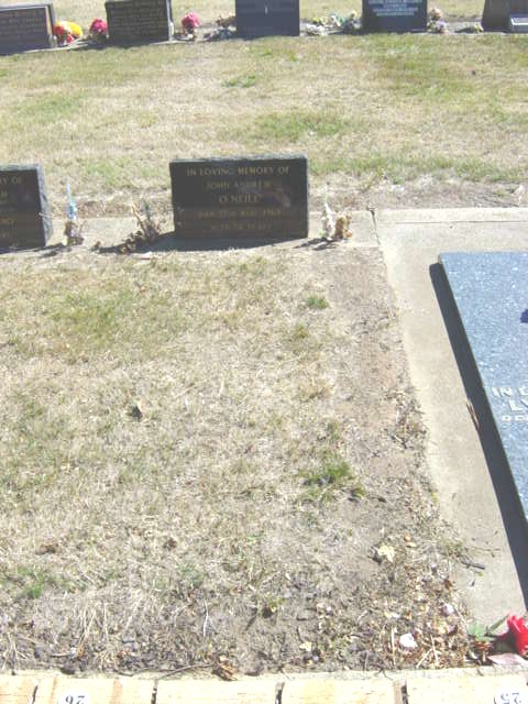Full-size image