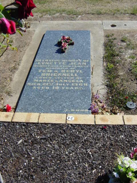 Full-size image