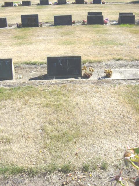 Full-size image