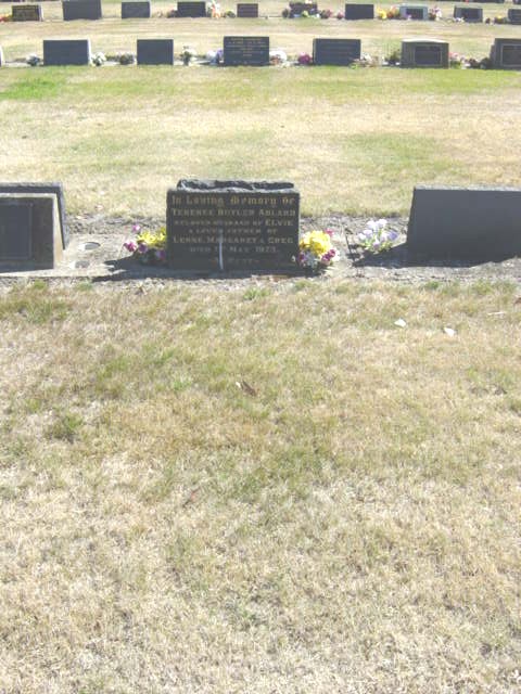 Full-size image
