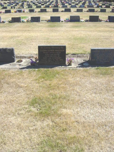 Full-size image