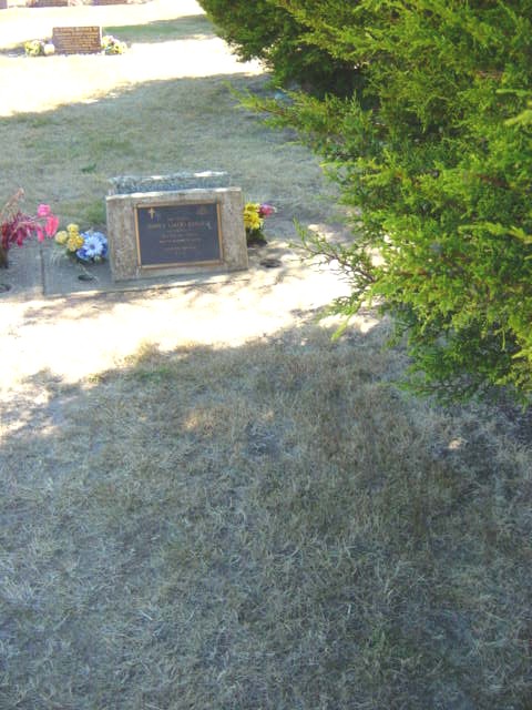 Full-size image
